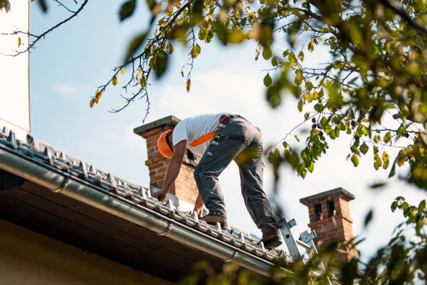 Best Storm Damage Roof Repair  in Tupelo, MS